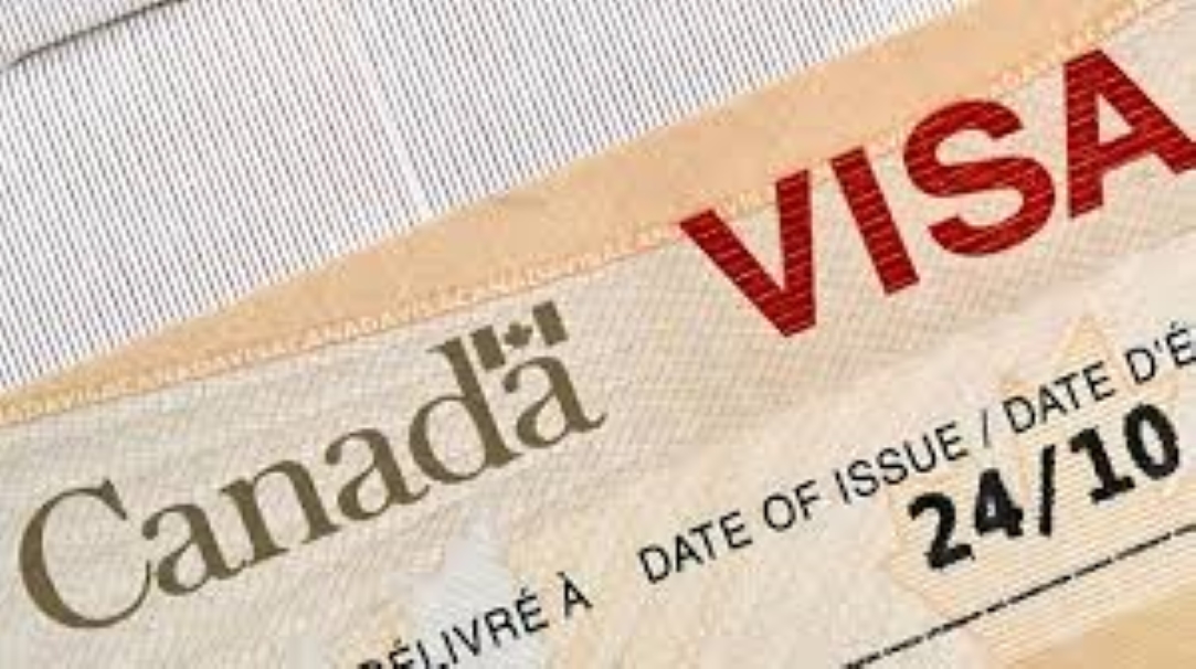 Visa Assistance at Hotel Sawera Grand, Amritsar